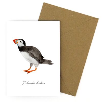 Improbability Common Puffin Greetings Card