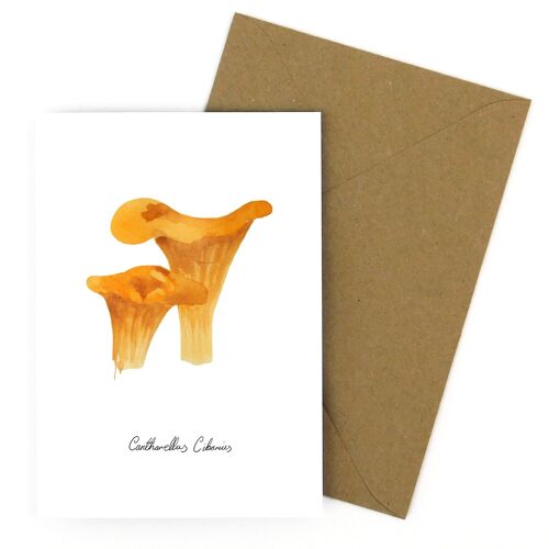 Fungi Chantarelle Mushroom Greetings Card