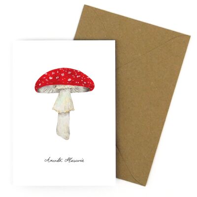 Fungi Fly Agaric Mushroom Greetings Card