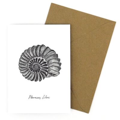 Ammoniten-Grußkarte