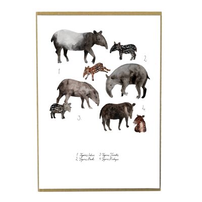 Candle of Tapirs Art Print