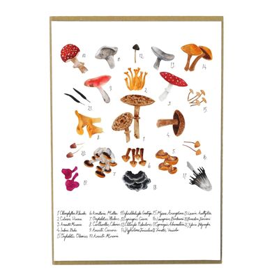 Impression d'art de champignons - A4