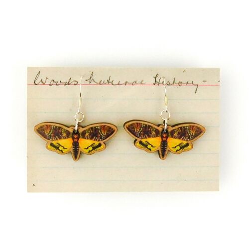 Lepidoptera Death's Head Hawkmoth Earrings