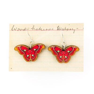Boucles d'Oreilles Lépidoptères Atlas Moth