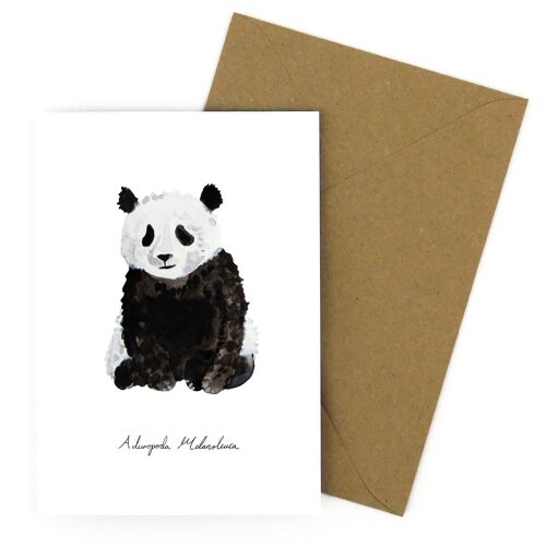 Embarrassment Giant Panda Greetings Card