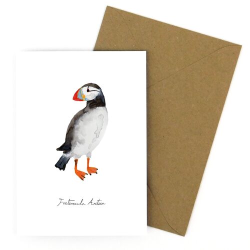 Improbability Atlantic Puffin Greetings Card