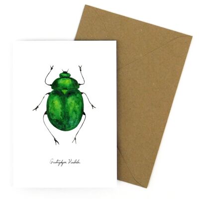 Coleoptera Green Beetle Greetings Card