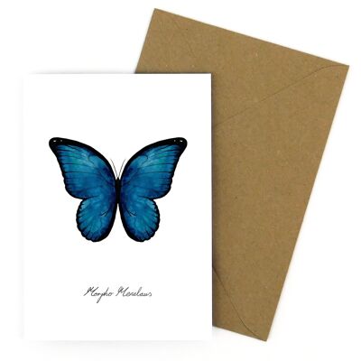 Carte de voeux papillon morpho lépidoptères