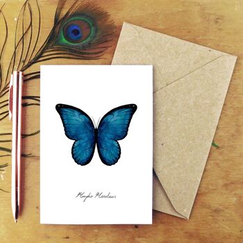 Carte de voeux papillon morpho lépidoptères 2