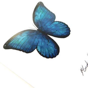 Carte de voeux papillon morpho lépidoptères 4