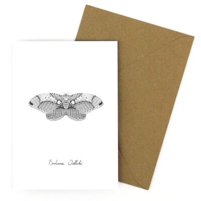 Archaeolepis Owl Moth Carte de vœux