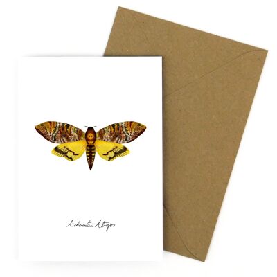 Lépidoptères Tête de mort Hawkmoth Moth Carte de vœux