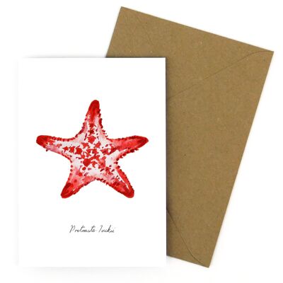 Asterozoa corona de espinas estrella de mar tarjeta de felicitación