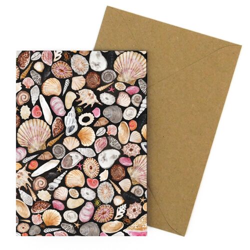 Mollusca Sea Shell Greetings Card