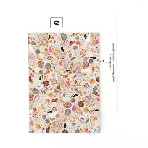 Conchae Sea Shell Print Postcard