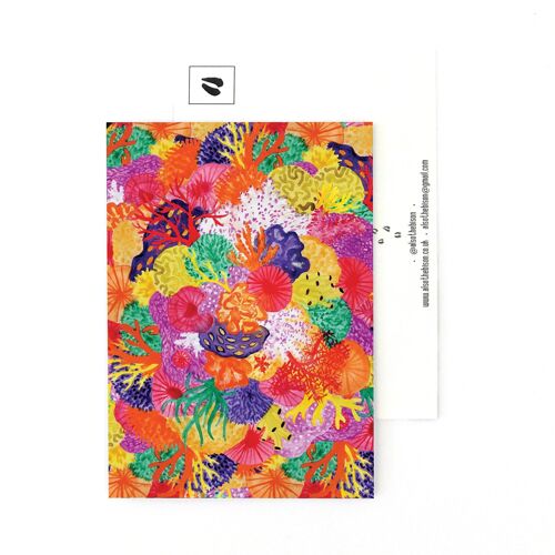 Anthozoa Coral Reef Print Postcard