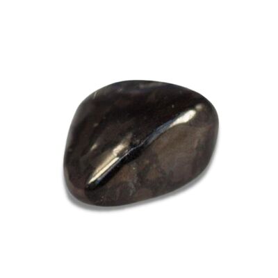“Total protection” tumbled stone in Shungite