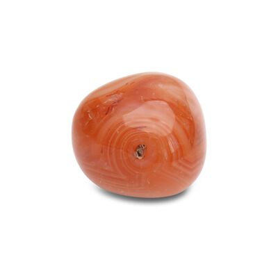"Forces of Life" tumbled stone in Carnelian