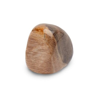 Trommelstein „Stabilität“ aus versteinertem Holz