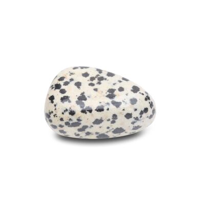 “Optimism” tumbled stone in Dalmatian Jasper