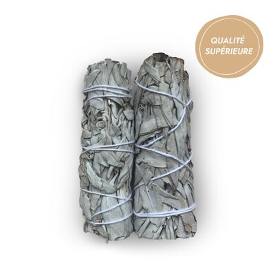 Bastoncini di salvia bianca - Qualità superiore