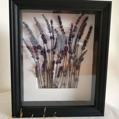 Trockenblumen in Bilderrahmen - Lavendel