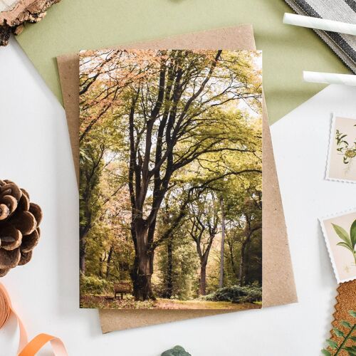 Autumn Tree Card