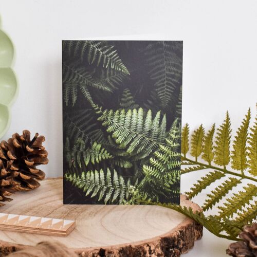 Botanical Ferns Card