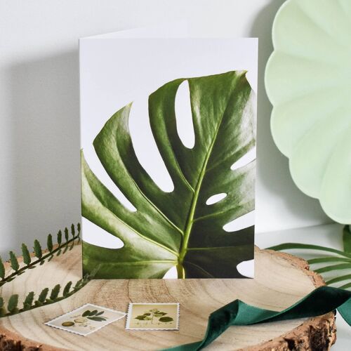 Botanical Monstera Leaf Card