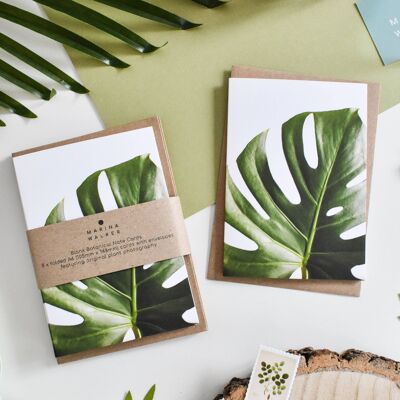 Paquete de 8 tarjetas botánicas de hojas de Monstera