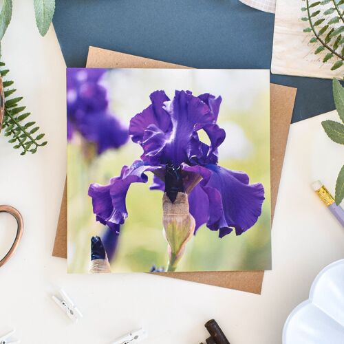 Floral Bearded Iris Card