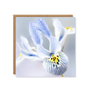 Carte Iris Bleu Floral 3