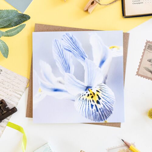 Floral Blue Iris Card