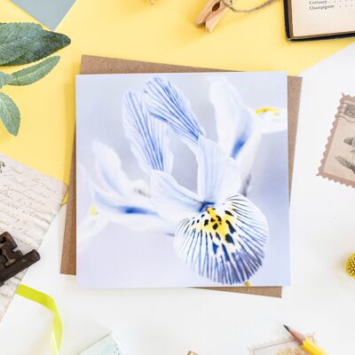 Blaue Iris-Blumenkarte