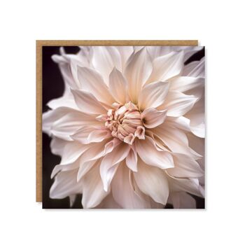 Carte Floral Café au Lait Dahlia 3