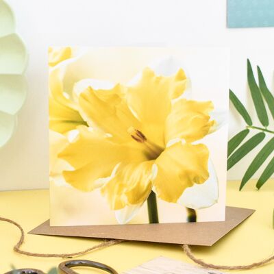 Tarjeta Floral Narciso
