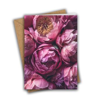 Lot de 8 cartes florales pivoines foncées 4