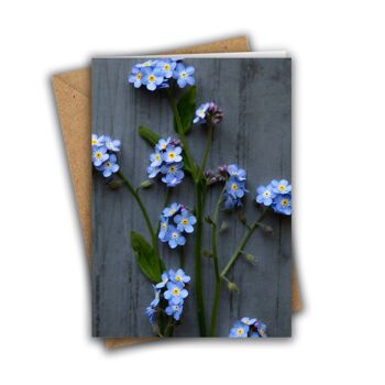 Paquet de 8 cartes Floral Forget-Me-Nots 4