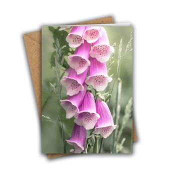 Carte de digitale florale 2