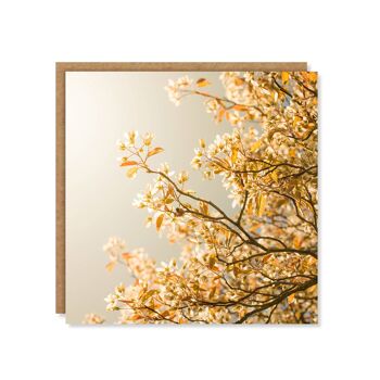 Carte florale de fleur d'or 3