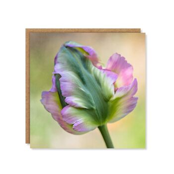 Carte florale tulipe verte et rose 3