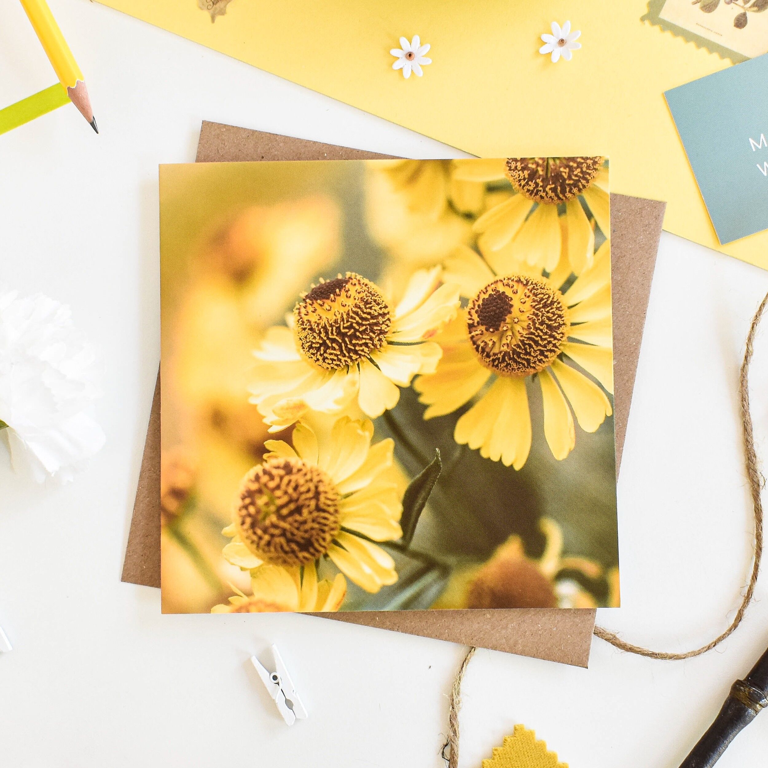 Carta di Helenium floreale
