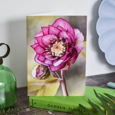 Floral Hellebore Card