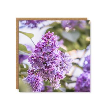 Carte florale de fleur de lilas 3