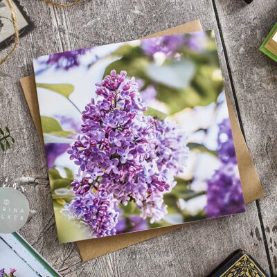 Carte florale de fleur de lilas