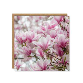 Carte florale de fleur de magnolia 3
