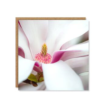 Carte florale de pétales de magnolia 3
