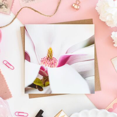 Carta di petali di magnolia floreale