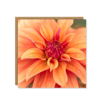 Carte florale de dahlia orange 3