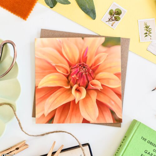 Floral Orange Dahlia Card